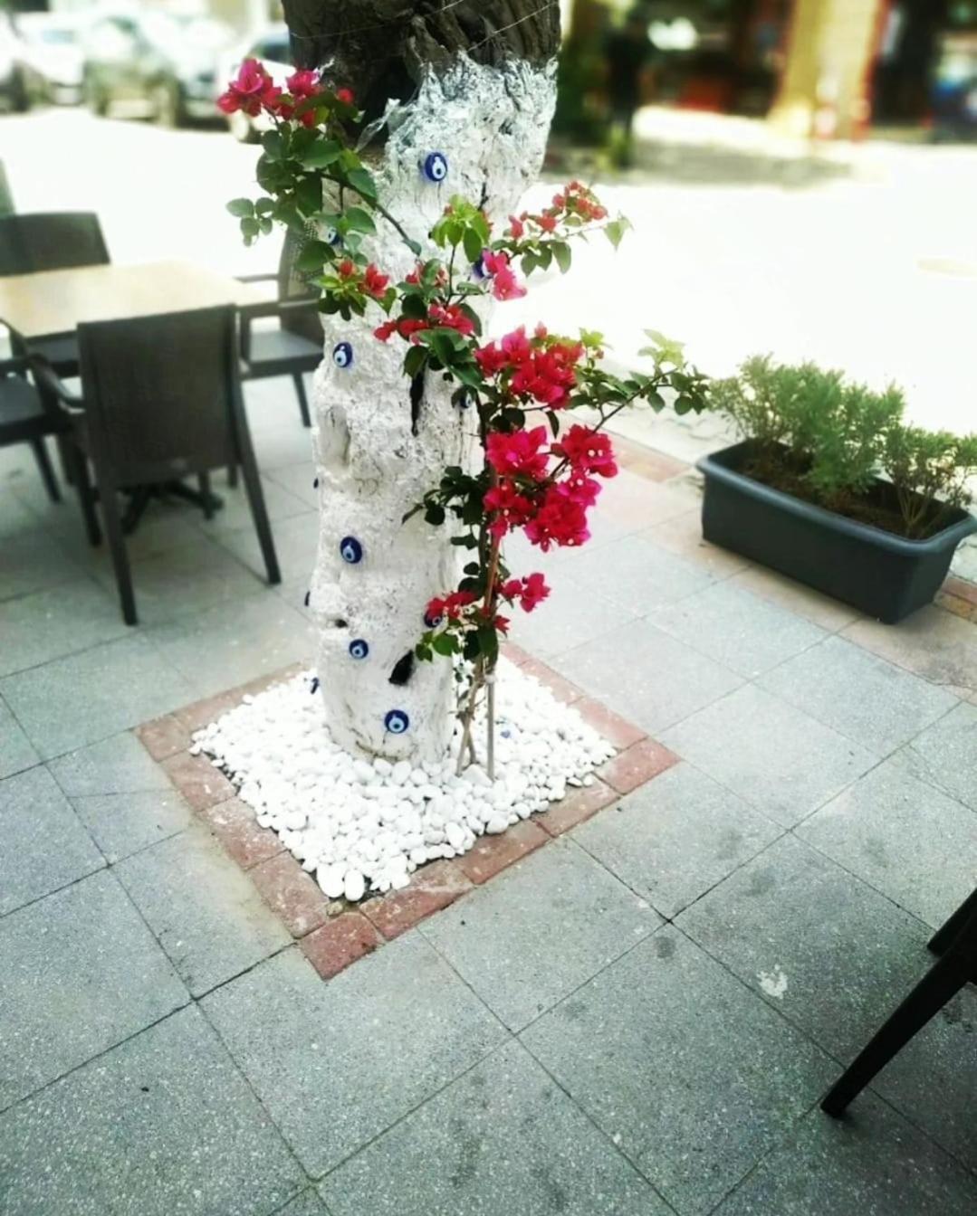 Punta Vista Hotel Izmir Exterior foto